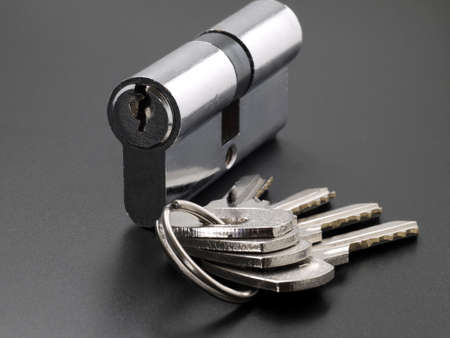 Pin tumbler of cylinder lock internal mechanism and set of keysの写真素材