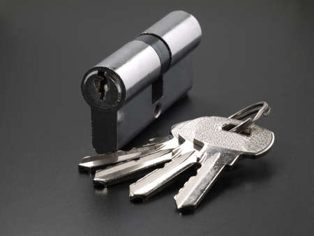 Pin tumbler of cylinder lock internal mechanism and set of keysの写真素材