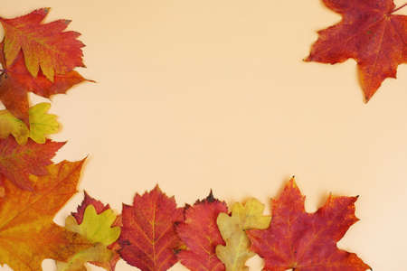 frame composed of autumn red and yellow leaves on yellow background