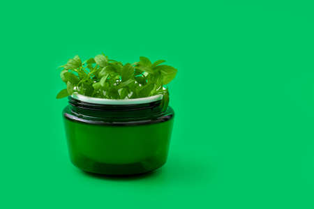 Green face cream jar with baby sprouts in it on green  background. Natural herbal cosmetics concept,