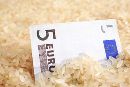 Closeup of euro banknote in rice grains