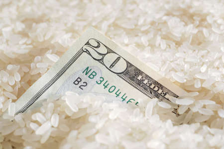 Closeup of dollar banknote in rice grainsの写真素材