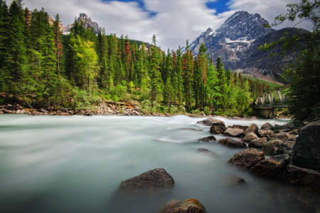 Takakkaw River and Cathderal Mountainの写真素材