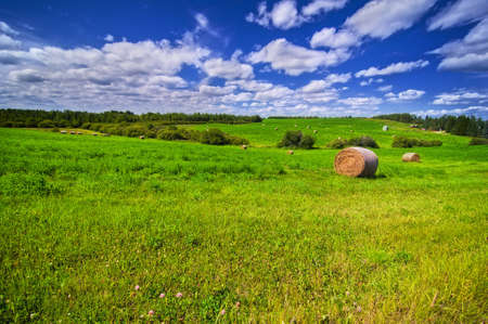The hay balesの写真素材