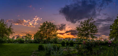 Evening tranquility in the garden with colorful sunset