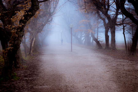 Lonely woman leaning on lamp post in central park alley on foggy autumn day, sinister and mysteriousの写真素材
