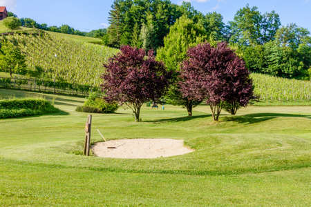 Golf course in the vineyards with bunker in frontの写真素材