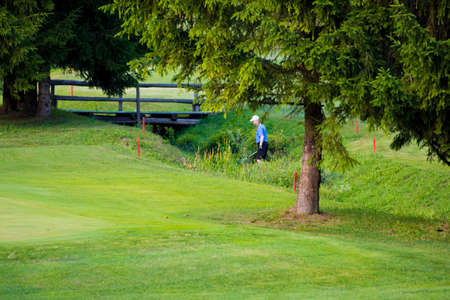 Golf player, facing away fron viewer, searching for lost ball in water stream and high grassの写真素材