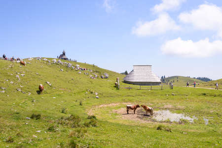 Velika planina plateau, Slovenia, Mountain village in Alps, wooden houses in traditional style,...