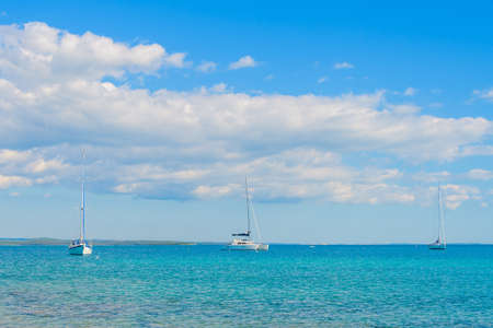 Luxury sailing catamaran and two sailing boats in open seaの写真素材