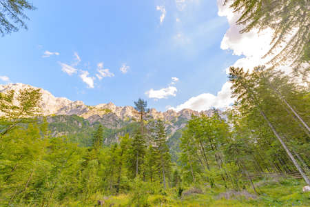 A beutiful landscape in the mountains, clouds above peaks and forest in foregroundの写真素材