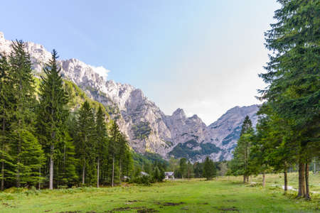 A beutiful landscape in the mountains, clouds above peaks and forest in foregroundの写真素材