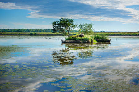 Lake landscape early in the morning with clouds and island with tree in the lakeの写真素材