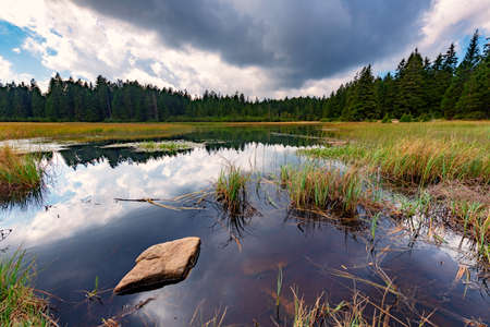 Black lake and marshes, forest in background, Crno jezero on Pohorje mountain, Slovenia, a natural...