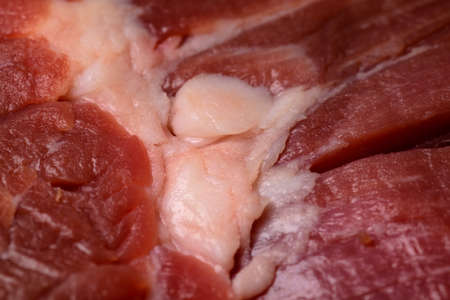 Red raw beef meat with chunk of white fat, macro close up, cooking and nutrition conceptの写真素材