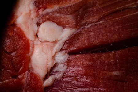 Red raw beef meat with chunk of white fat, macro close up, cooking and nutrition conceptの写真素材