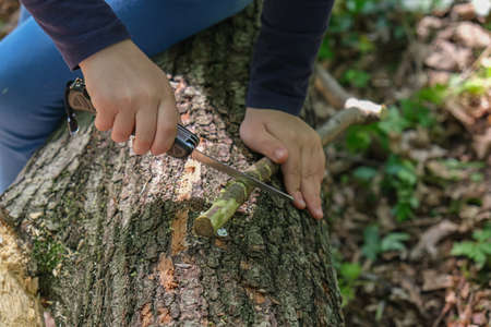 Hands of little girl or boy using a Swiss knife, sawing a piece of wood in the forest, outdoor...