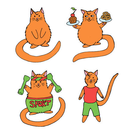 Positive sports cat. Healthy lifestyle and diet.のイラスト素材