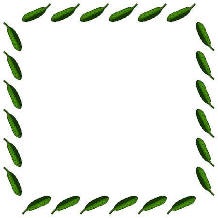 Square frame with horizontal vector cucumber. Isolated wreath on white background for your designのイラスト素材