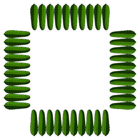 Square frame with vertical cucumber. Isolated wreath on white background for your designのイラスト素材