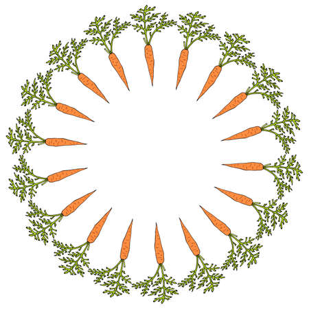 Round frame with vertical carrots. Isolated wreath on white background for your designのイラスト素材