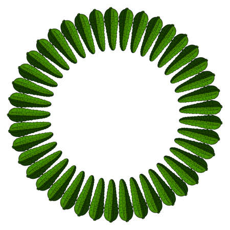 Round frame with vertical cucumber. Isolated wreath on white background for your designのイラスト素材