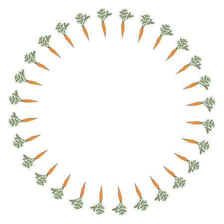 Round frame with orange carrots on white background. Isolated wreath for your design.