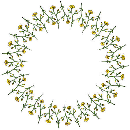 Round frame with vertical flowers buttercups on white background. Isolated frame with flowers for your design.のイラスト素材