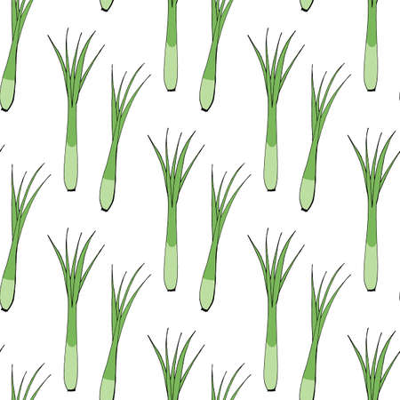 Seamless pattern with green onion on white background. Vector image.のイラスト素材