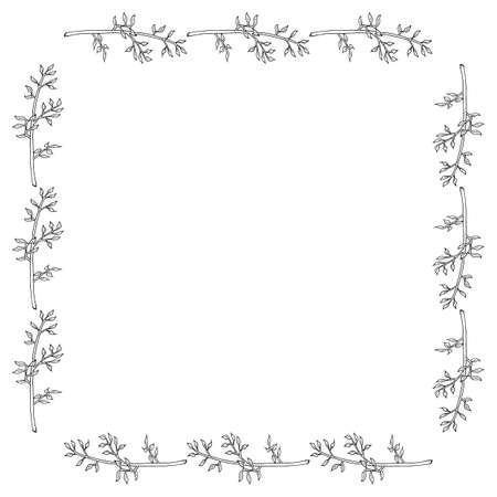 Square frame with branches on white background. Vector image.のイラスト素材