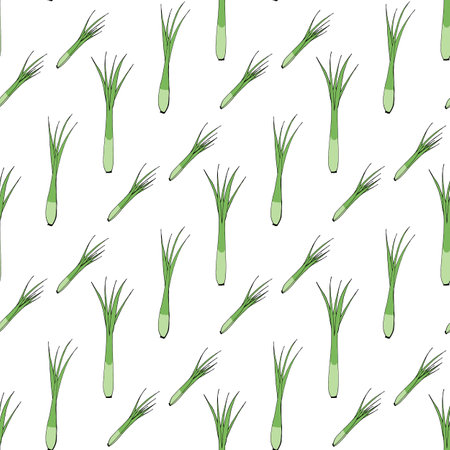 Seamless pattern with great green onion on white background. Vector image.のイラスト素材