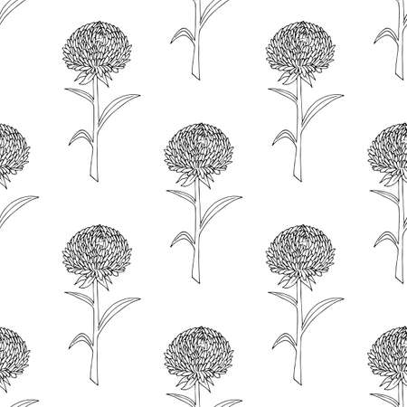Seamless pattern with black-and-white big aster flowers on white background. Vector image. Coloring book.のイラスト素材