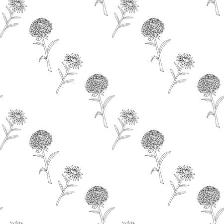 Seamless pattern with black-and-white cozy aster flowers on white background. Vector image. Coloring book.のイラスト素材