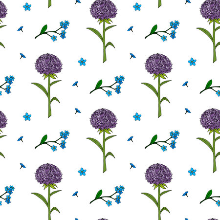 Seamless pattern with violet aster and forget-me-not flowers on white background. Vector image.のイラスト素材
