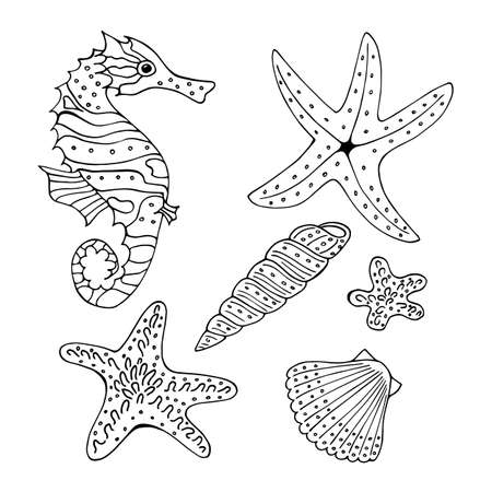 Set with black-and-white sea shells, seahorse and starfish on white background. Vector image.のイラスト素材