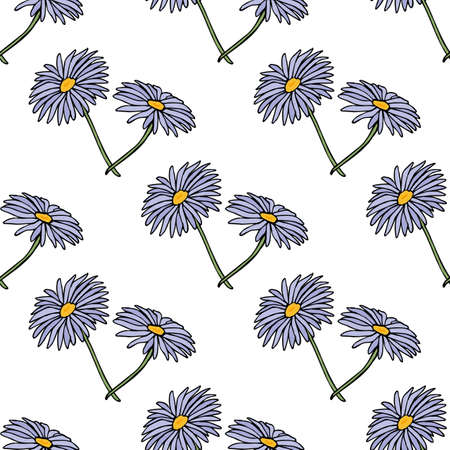 Seamless pattern with flowers aster dumosus Blaubox on white background. Vector image.のイラスト素材