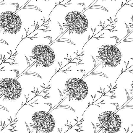 Seamless pattern with black-and-white aster flowers and branches on white background. Vector image. Coloring book.のイラスト素材