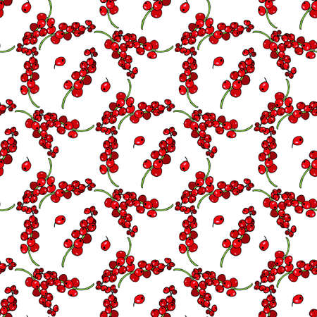 Seamless pattern with beautiful red currant on white background. Vector image.