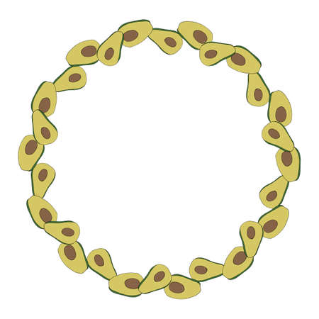 Round frame with awesome avocado on white background. Vector image.のイラスト素材