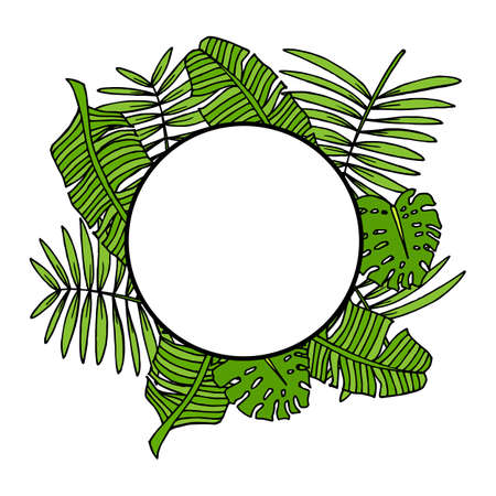 Frame with tropical leaves on white background. vector image.のイラスト素材