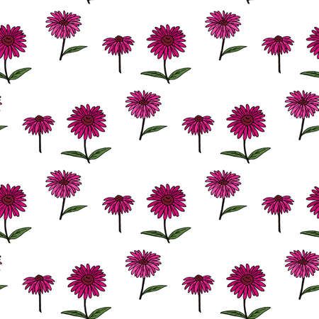 Seamless pattern with creative pink echinacea on white background. Vector image.のイラスト素材