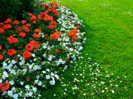 A flower bed with bright flowers.の写真素材