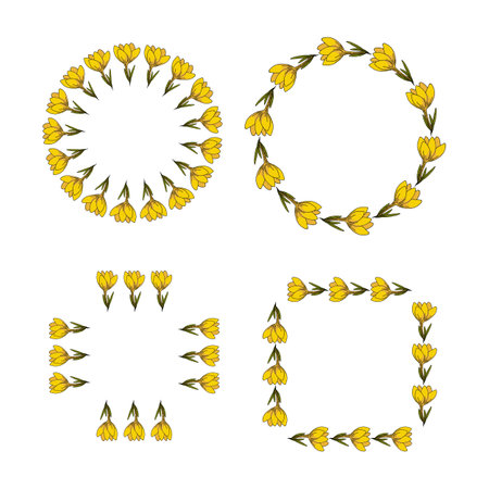 Set of frames with yellow crocuses on white background. vector image.のイラスト素材