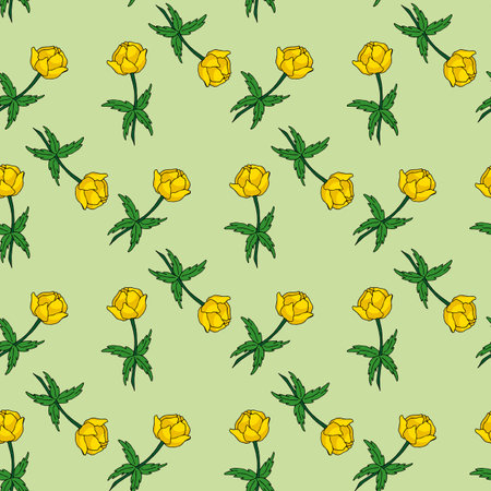 Seamless pattern with trollius on a light green background. beautiful flowers. vector image.のイラスト素材