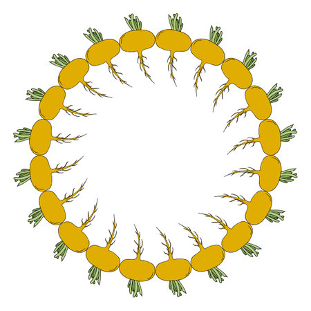 Round frame with yellow turnip on white background. Vector image.のイラスト素材