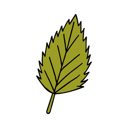 ecological green birch leaf on white background. vector image.