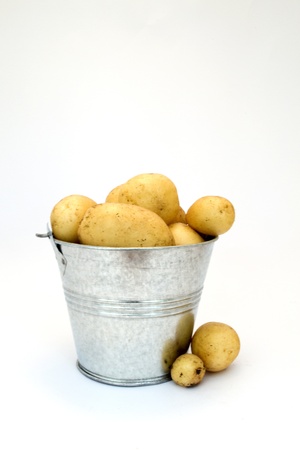Potatoes in a galvanised stell bucket on a white backgroundの写真素材