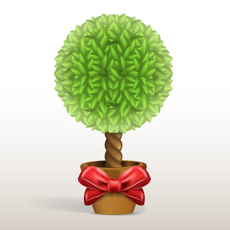 Growing tre with red bow in the potのイラスト素材