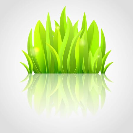 Fresh green grassのイラスト素材