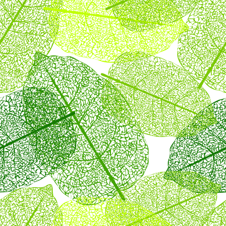 Leaf skeletons green seamless vector background. Web patternのイラスト素材